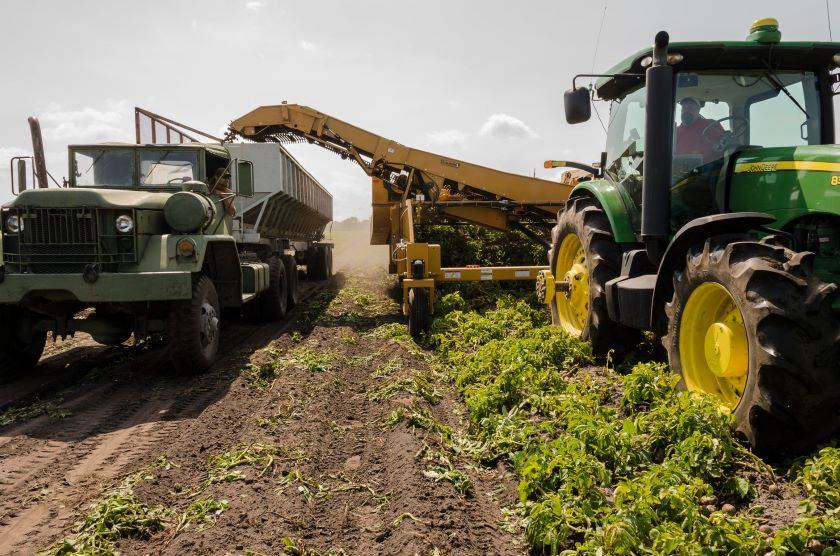 Recomanacions als sectors de l'agricultura, la ramaderia, l'aqüicultura, la pesca i la indústria ali