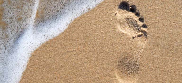 Mindfulness Mindfulness