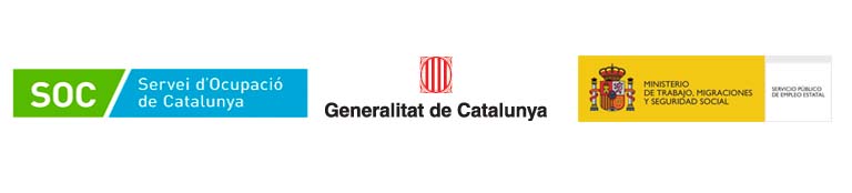 Operación de carretillas Norma Renovación UNE 58451