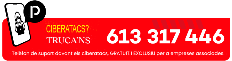 Telèfon de suport davant ciberatacs: 613 317 446